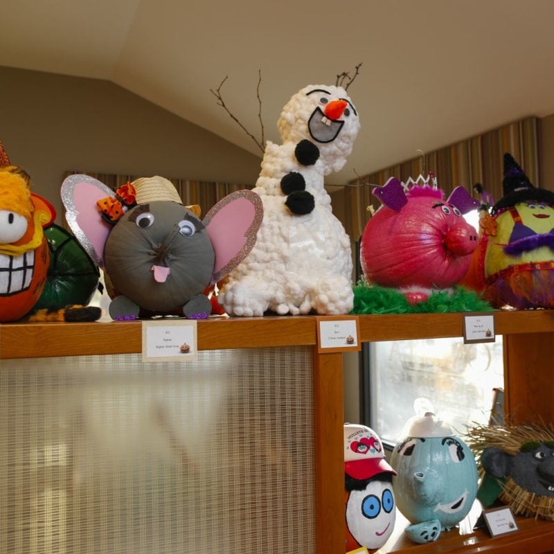 MG 6631 800x800 - Halloween Trick or Treat Party